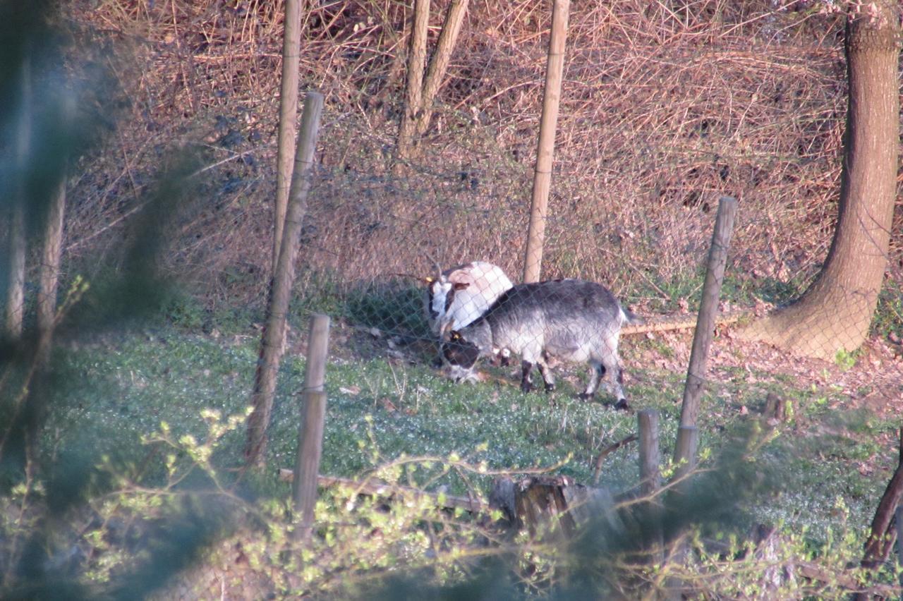B&B Cascina Rossa Asti Luaran gambar